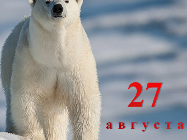 Познавательная программа «История освоения Северного морского пути»